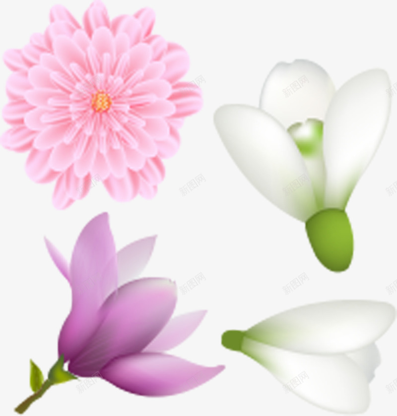 手绘清新兰花菊花插画png免抠素材_88icon https://88icon.com 兰花 插画 清新 菊花