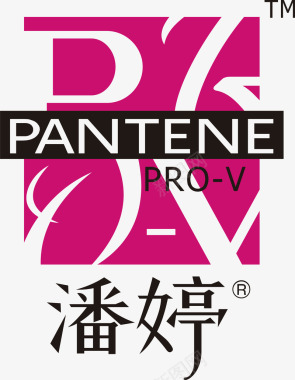 中国航天企业logo标志潘婷logo矢量图图标图标