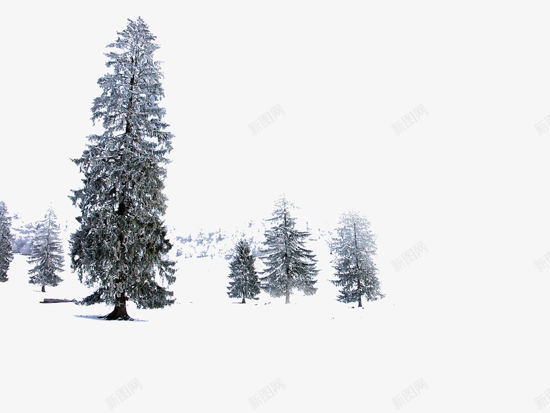 创意合成冬天的森林合成摄影png免抠素材_88icon https://88icon.com 冬天 创意 合成 摄影 森林