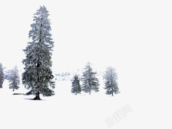 创意合成冬天的森林合成摄影素材