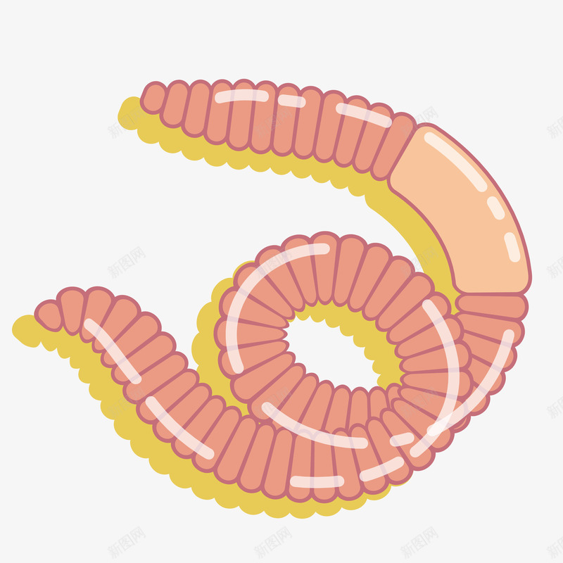 卡通蚯蚓矢量图ai免抠素材_88icon https://88icon.com 动漫 卡通 卡通蚯蚓 扁平蚯蚓 手绘蚯蚓 漫画蚯蚓 矢量图 鼠绘卡通蚯蚓