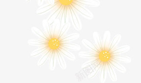 白色唯美模糊花朵春天png免抠素材_88icon https://88icon.com 春天 模糊 白色 花朵