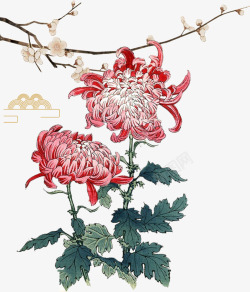 中国风水彩红菊元素素材