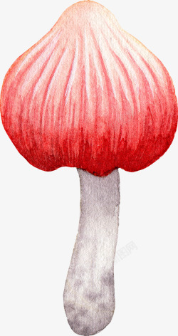 手绘卡通红色漂亮小蘑菇素材
