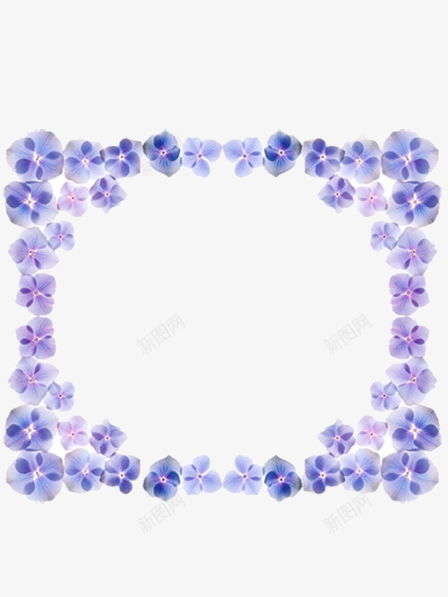 花朵边框png免抠素材_88icon https://88icon.com 好看的边框 小紫花 漂亮的边框 紫色的花朵