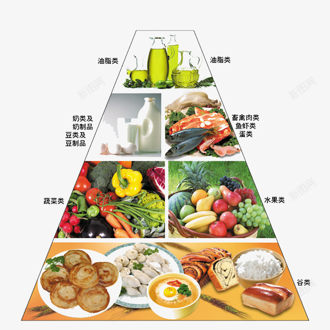 食物金字塔png免抠素材_88icon https://88icon.com 健康 养生 牛奶 肉