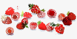 红色桑葚草莓和桑葚高清图片