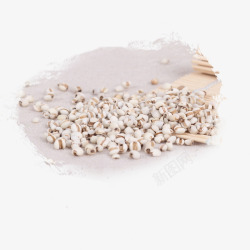 五谷杂粮薏米素材