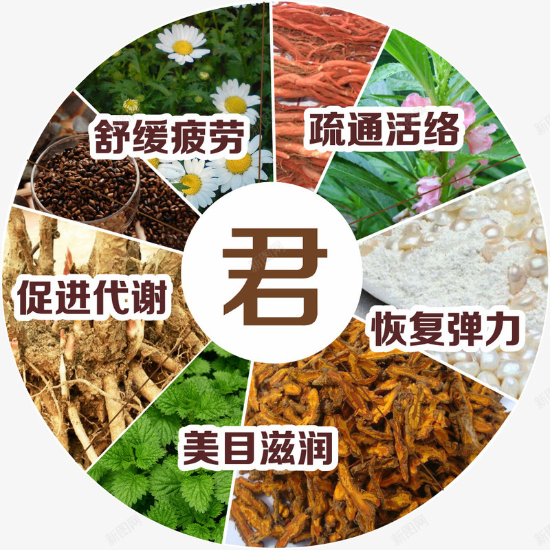 中药材png免抠素材_88icon https://88icon.com 中药 珍珠粉 药材 菊花 薄荷 食材