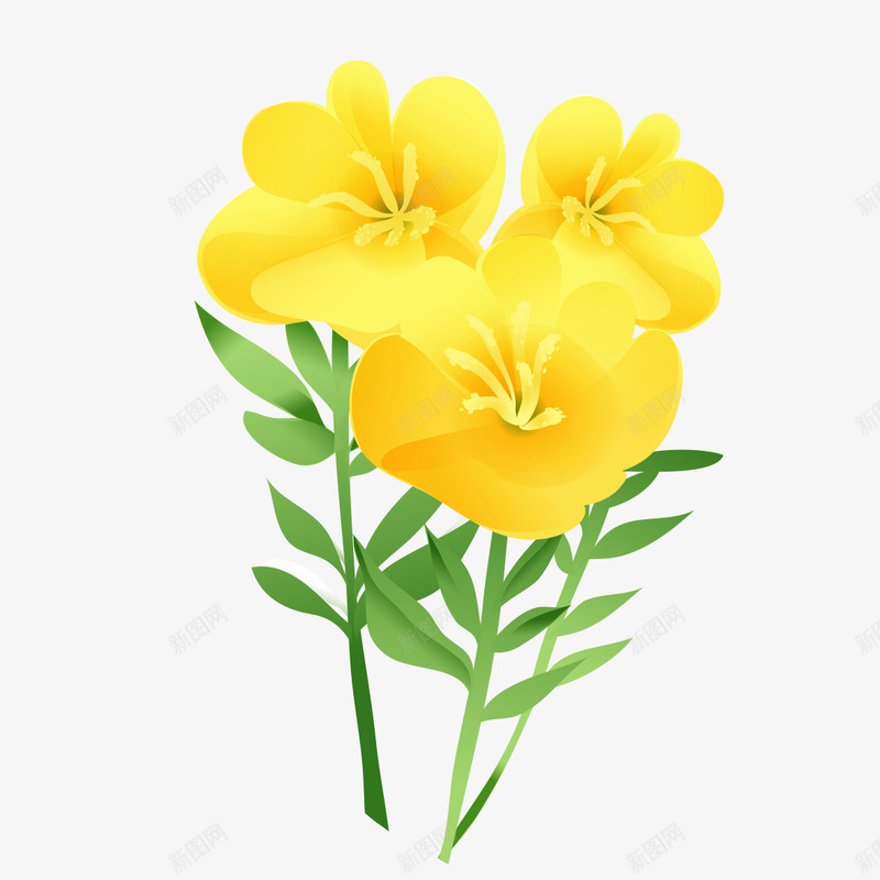 漂亮的黄花png免抠素材_88icon https://88icon.com 漂亮 花朵 花朵素材 黄色 黄花