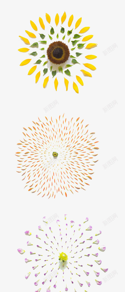 多色花瓣圆形装饰图png免抠素材_88icon https://88icon.com 喇叭花 圆 庆典 红色 菊花 黄色花瓣