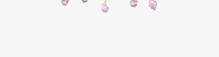 多色花瓣圆形装饰图png免抠素材_88icon https://88icon.com 喇叭花 圆 庆典 红色 菊花 黄色花瓣