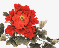 创意合成红色的菊花效果素材