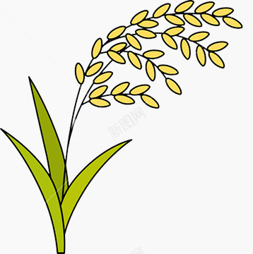 水稻漫画png免抠素材_88icon https://88icon.com 写实 水稻 漫画 黄色