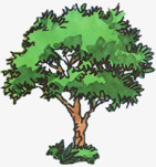 漫画绿色园林植物手绘景观png免抠素材_88icon https://88icon.com 园林 景观 植物 漫画 绿色