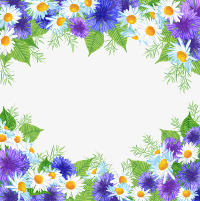 白色与紫色菊花边框素材