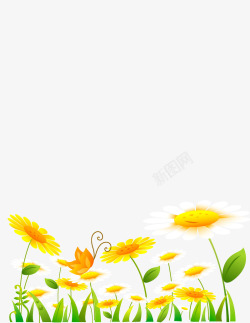 黄色菊花矢量图素材