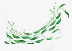 绿叶和水波素材