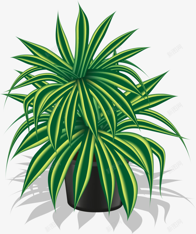 盆景植物png免抠素材_88icon https://88icon.com 植物 漂亮 绿色 龙舌兰