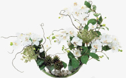 白色花卉玻璃瓶插花素材