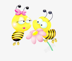 漂亮蜜蜂漂亮的小蜜蜂高清图片