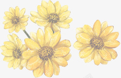 黄色手绘唯美朦胧菊花素材