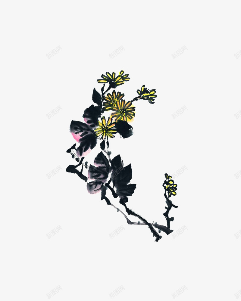 水墨菊花png免抠素材_88icon https://88icon.com png图形 png装饰 手绘 水墨 菊花 装饰