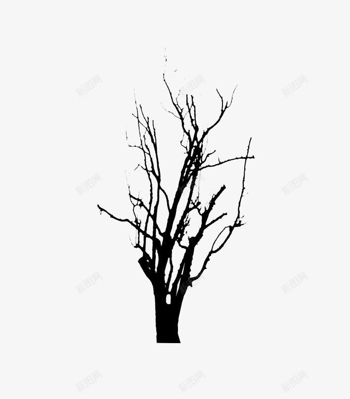 冬天没有树叶的树木png免抠素材_88icon https://88icon.com 娌湁鏍戝彾鐨勬爲鏈 鍐 鏍戝共