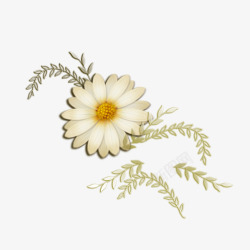 白色的菊花的线稿素材