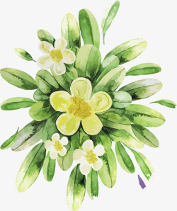 手绘春意盎然的菊花植物素材