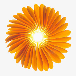 橙色非洲菊非洲菊高清图片