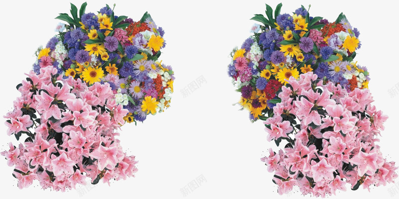 康乃馨等花水彩画1png免抠素材_88icon https://88icon.com 兰花 康乃馨 手绘花 植物 母亲节 水彩画 礼物 花 菊花