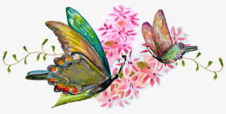 卡通手绘水彩漂亮蝴蝶红色花朵矢量图素材