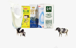 各种牛奶奶牛素材