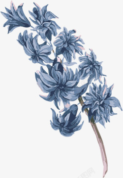 创意合成水彩蓝色的菊花素材