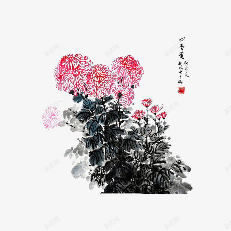 国画菊花png免抠素材_88icon https://88icon.com 国画 国画菊花 彩色传统画 水墨画 水墨菊花 菊花