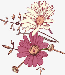 彩绘清新的菊花矢量图素材