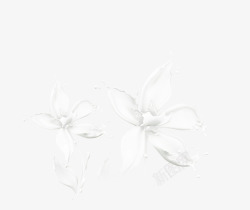 牛奶花瓣素材