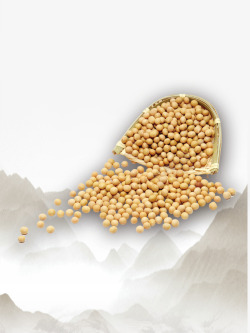 杂粮豆浆五谷杂粮中的黄豆高清图片