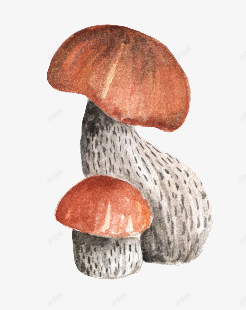 手绘棕色的模糊食物png免抠素材_88icon https://88icon.com 创意 卡通手绘 棕色 水彩 菌类 蔬菜 蘑菇 食物