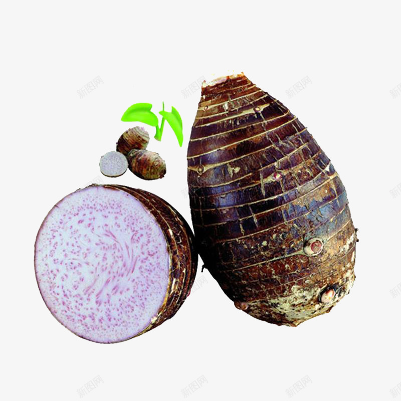 广西荔浦芋头png免抠素材_88icon https://88icon.com 产品实物 卡通芋头 新鲜 特产 芋头 蔬菜 食物