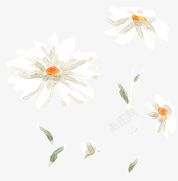 白色手绘菊花美景装饰素材