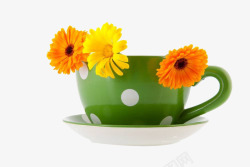金盏菊和咖啡杯素材