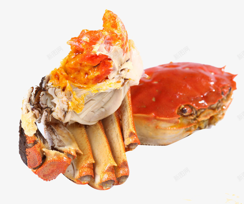 红焖大杂蟹png免抠素材_88icon https://88icon.com 海鲜 红色 蟹黄 食物