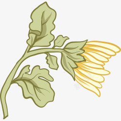 手绘黄色菊花绿色叶子插画矢量图素材