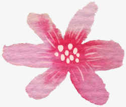 粉色个性花蕊花朵素材