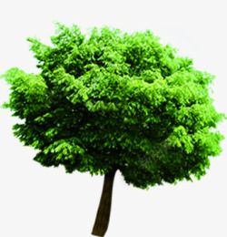 绿色环保大树模糊素材