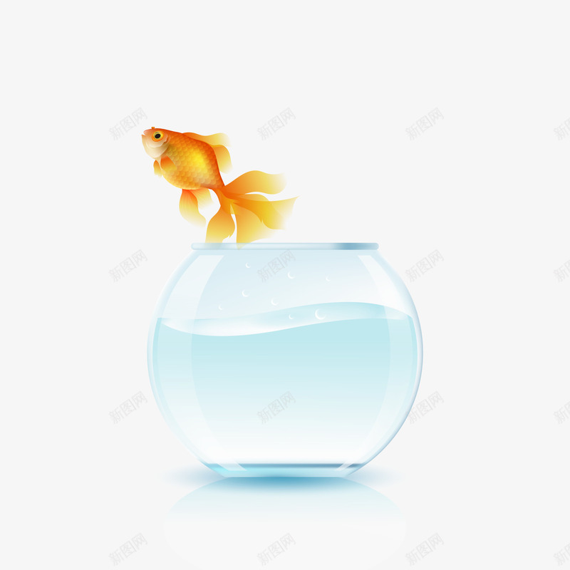 一条金鱼矢量图ai免抠素材_88icon https://88icon.com 3D PNG免抠图下载 宠物 玻璃罐 装饰 鱼缸 矢量图