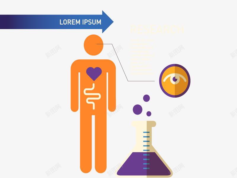 医药人体图png免抠素材_88icon https://88icon.com 扁平 漂亮 高清