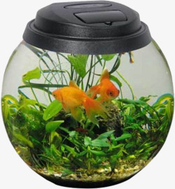 圆形玻璃鱼缸素材